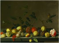 BALTHASAR VAN DER AST, A still life of fruit and shells with a rose and various insects upon a stone ledge