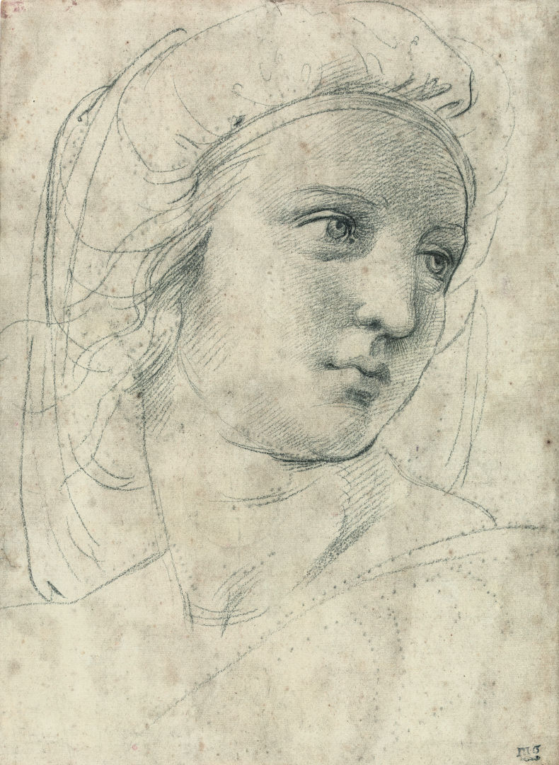 Fig. 12 - Raffaello, Testa di Musa, 1509 ca, cartone ausiliario, New York, Collezione privata