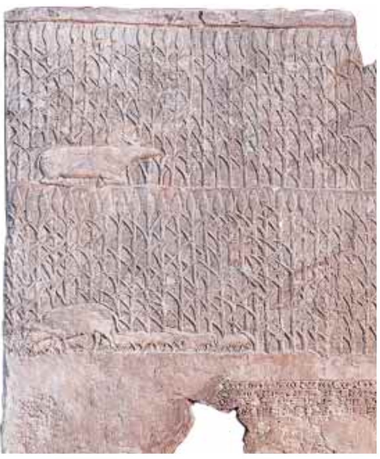 Fig. 5 - Rilievo raffigurante la palude ricreata da Sennacherib nel 699 a.C. nella piana extraurbana di Ninive (in FOSTER 1999, p. 70)